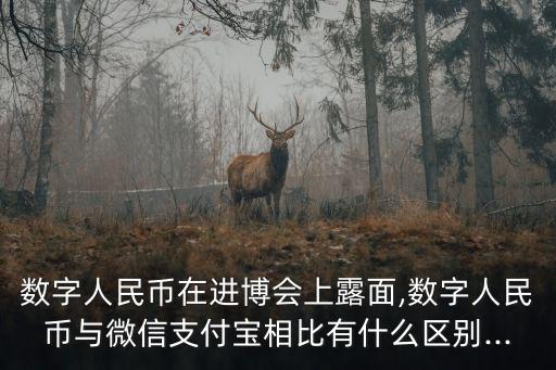 數(shù)字人民幣在進(jìn)博會上露面,數(shù)字人民幣與微信支付寶相比有什么區(qū)別...