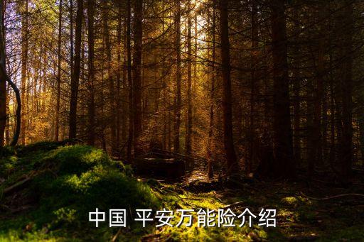 中國 平安萬能險(xiǎn)介紹
