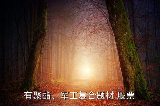 有聚酯、軍工復(fù)合題材 股票