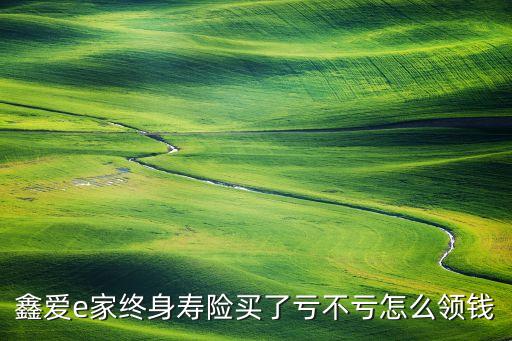鑫愛e家終身壽險買了虧不虧怎么領錢