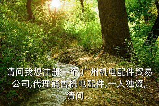 請問我想注冊一個 廣州機電配件貿(mào)易公司,代理銷售機電配件,一人獨資,請問...