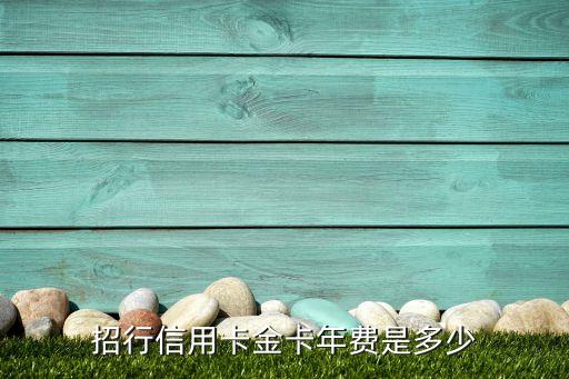 招行信用卡金卡年費(fèi)是多少