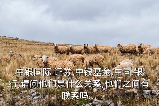 中銀國際 證券,中銀基金,中國 銀行,請(qǐng)問他們是什么關(guān)系,他們之間有聯(lián)系嗎...
