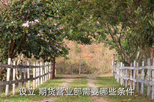 設立 期貨營業(yè)部需要哪些條件