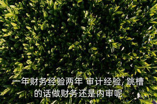 一年財務經驗兩年 審計經驗, 跳槽的話做財務還是內審呢
