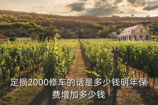 定損2000修車(chē)的話是多少錢(qián)明年保費(fèi)增加多少錢(qián)