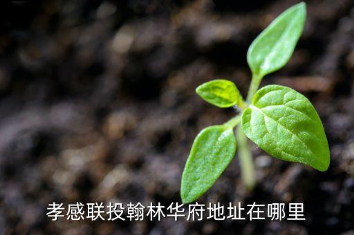 湖北中歐聯(lián)合投資集團,中歐國際商學(xué)院投資集團