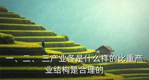 一、二、 三產(chǎn)業(yè)各是什么樣的比重產(chǎn)業(yè)結(jié)構(gòu)是合理的