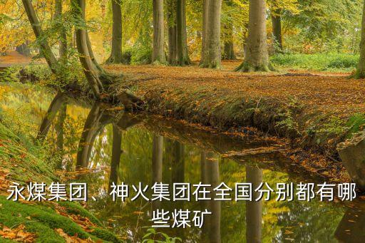 永煤集團(tuán)、神火集團(tuán)在全國分別都有哪些煤礦