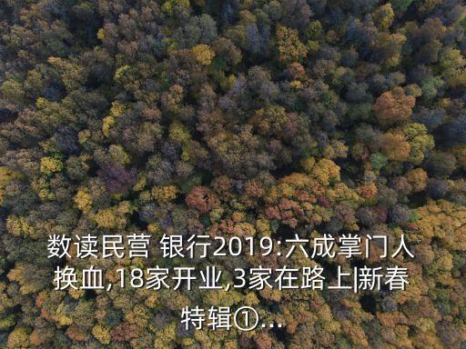 數(shù)讀民營(yíng) 銀行2019:六成掌門(mén)人換血,18家開(kāi)業(yè),3家在路上|新春特輯①...