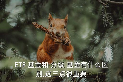 分級(jí)基金運(yùn)作方式分類,股票型分級(jí)基金按什么分類