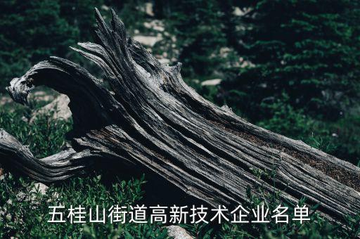 五桂山街道高新技術企業(yè)名單