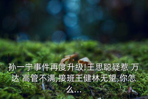 孫一寧事件再度升級!王思聰疑惹 萬達(dá) 高管不滿,接班王健林無望,你怎么...