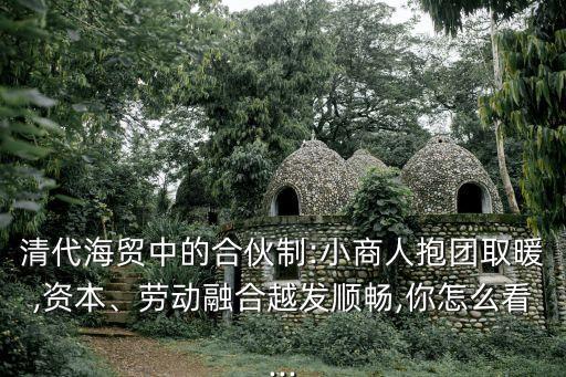 清代海貿(mào)中的合伙制:小商人抱團取暖,資本、勞動融合越發(fā)順暢,你怎么看...