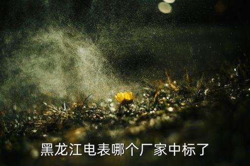 黑龍江電表哪個(gè)廠(chǎng)家中標(biāo)了