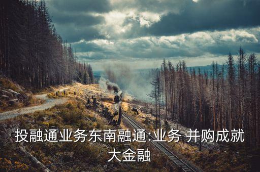投融通業(yè)務東南融通:業(yè)務 并購成就大金融