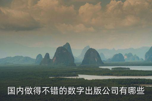 國內(nèi)做得不錯(cuò)的數(shù)字出版公司有哪些