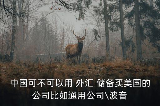 中國(guó)外匯儲(chǔ)備買(mǎi)什么,外匯儲(chǔ)備增加意味著什么