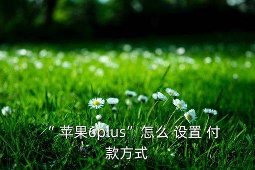 蘋果6手機銀行怎么設(shè)置指紋付款,手機銀行登錄密碼怎么設(shè)置