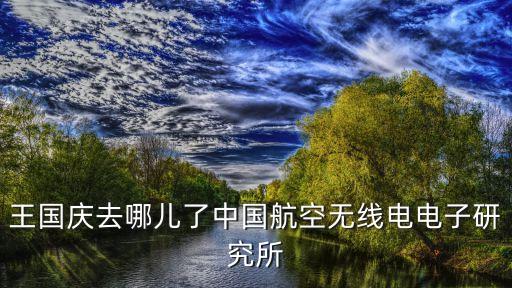 王國慶去哪兒了中國航空無線電電子研究所