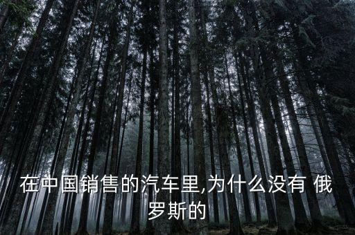 在中國(guó)銷售的汽車?yán)?為什么沒有 俄羅斯的