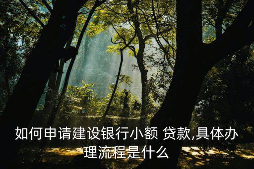 如何申請建設銀行小額 貸款,具體辦理流程是什么