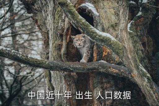 預(yù)計(jì)2015年中國出生人口