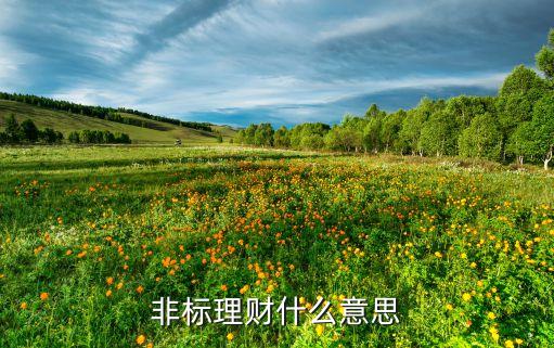 非標準化投資業(yè)務(wù),標準化債權(quán)資產(chǎn)投資業(yè)務(wù)