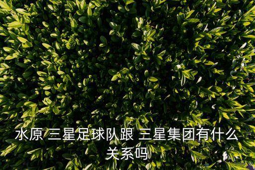 水原 三星足球隊跟 三星集團(tuán)有什么關(guān)系嗎