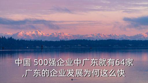 中國 500強企業(yè)中廣東就有64家,廣東的企業(yè)發(fā)展為何這么快