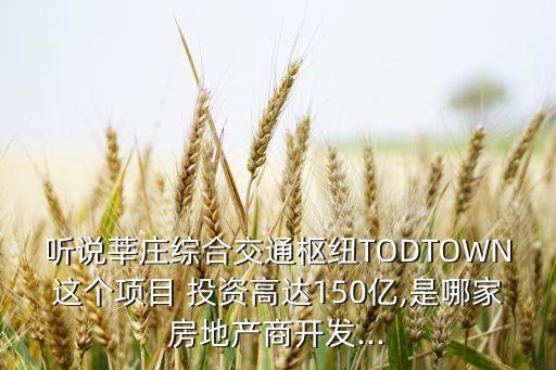 聽說(shuō)莘莊綜合交通樞紐TODTOWN這個(gè)項(xiàng)目 投資高達(dá)150億,是哪家房地產(chǎn)商開發(fā)...