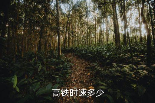 高鐵的中國標(biāo)準(zhǔn),全球高鐵進(jìn)入中國標(biāo)準(zhǔn)時(shí)代