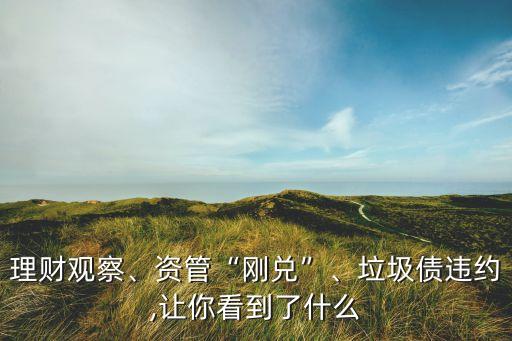 理財(cái)觀察、資管“剛兌”、垃圾債違約,讓你看到了什么