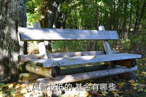  風險較低的 基金有哪些