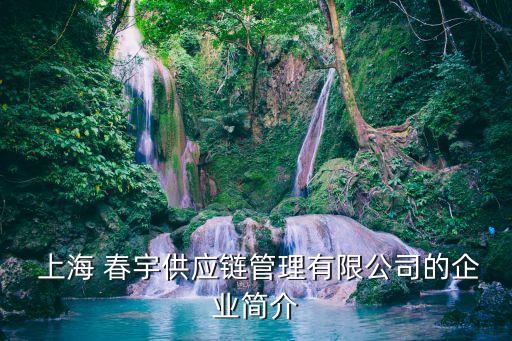  上海 春宇供應鏈管理有限公司的企業(yè)簡介