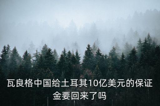 瓦良格中國給土耳其10億美元的保證金要回來了嗎