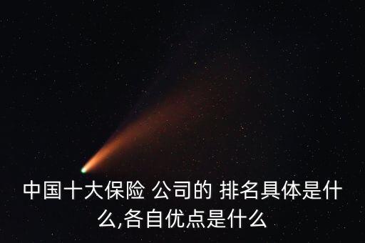 中國十大保險(xiǎn) 公司的 排名具體是什么,各自優(yōu)點(diǎn)是什么