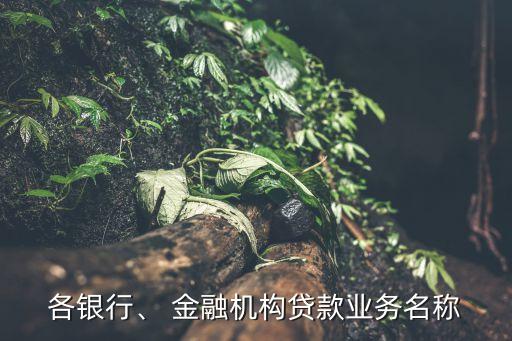 深圳易安金融公司簡(jiǎn)介,至善易安公司簡(jiǎn)介