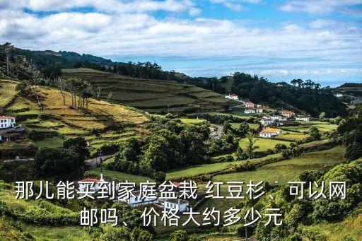 那兒能買到家庭盆栽 紅豆杉、可以網(wǎng)郵嗎、價(jià)格大約多少元
