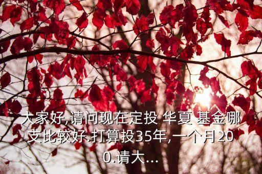 大家好,請問現(xiàn)在定投 華夏 基金哪支比較好.打算投35年,一個(gè)月200.請大...