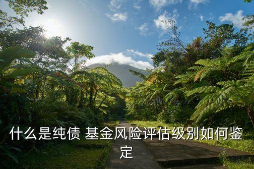 什么是純債 基金風(fēng)險(xiǎn)評估級別如何鑒定