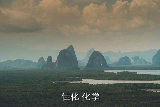 佳化化學股份有限公司怎么樣,上海佳化化學股份有限公司