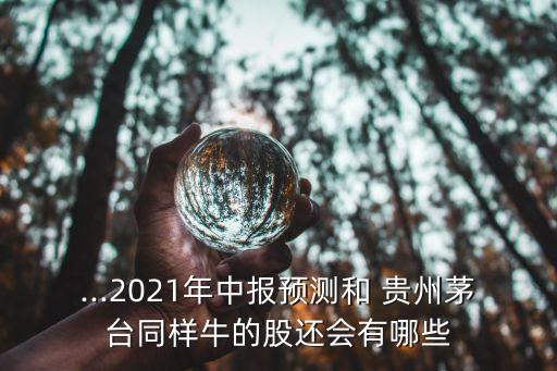 ...2021年中報(bào)預(yù)測和 貴州茅臺同樣牛的股還會(huì)有哪些