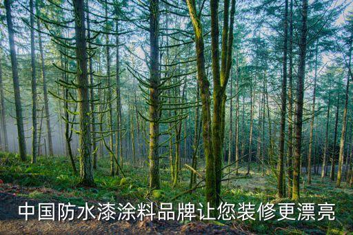 中國(guó)防水漆涂料品牌讓您裝修更漂亮