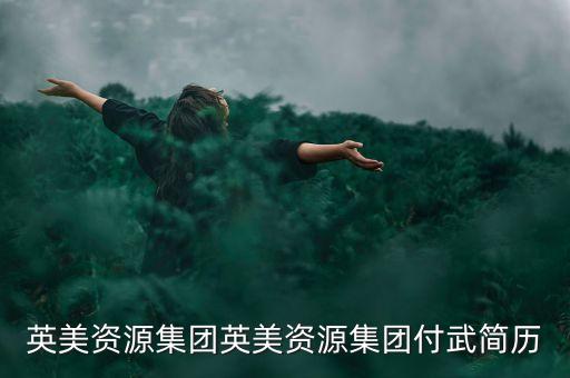 英美資源集團(tuán)英美資源集團(tuán)付武簡歷
