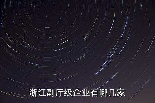 浙江副廳級(jí)企業(yè)有哪幾家