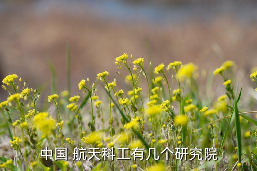 中國 航天科工有幾個(gè)研究院