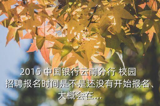 2015 中國銀行云南分行 校園 招聘報名時間是不是還沒有開始報名、大概會在...