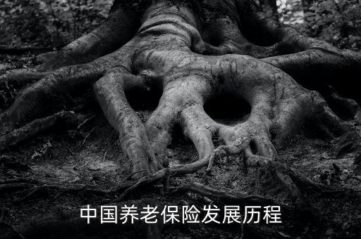 中國養(yǎng)老保險(xiǎn)發(fā)展歷程