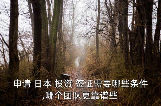 申請 日本 投資 簽證需要哪些條件,哪個團(tuán)隊更靠譜些